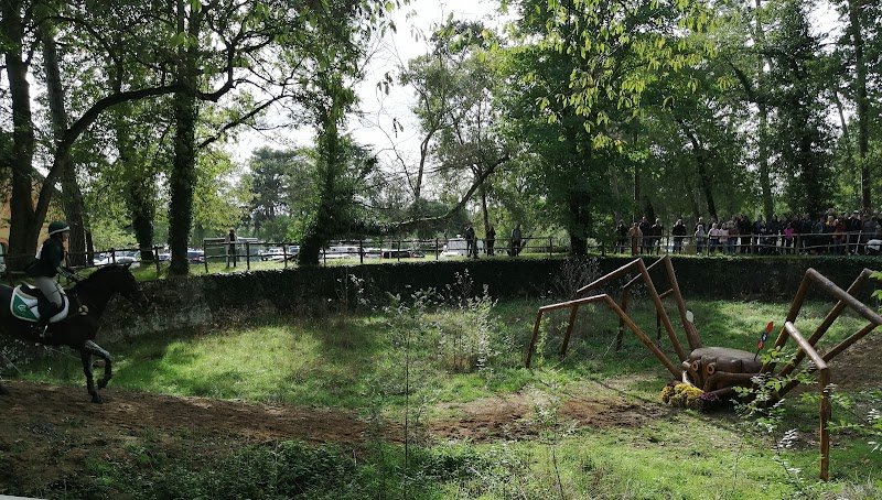 Les Ecuries d'Akerman - Pension pour chevaux Morbihan - photo 2