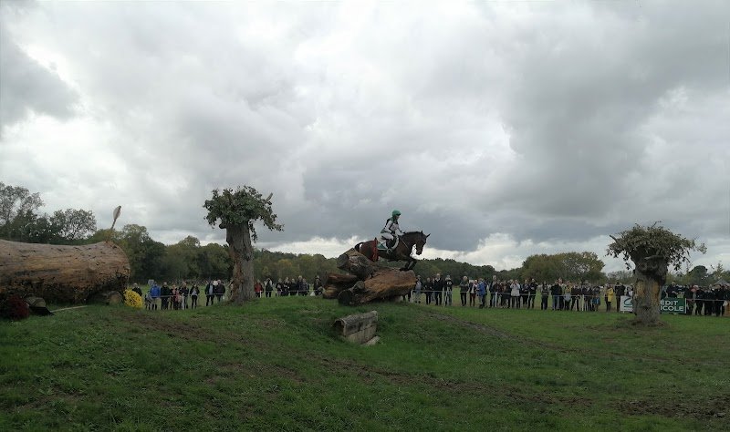 Les Ecuries d'Akerman - Pension pour chevaux Morbihan - photo 3