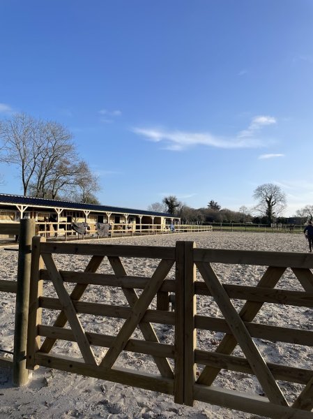 Écurie du creiou - photo 2