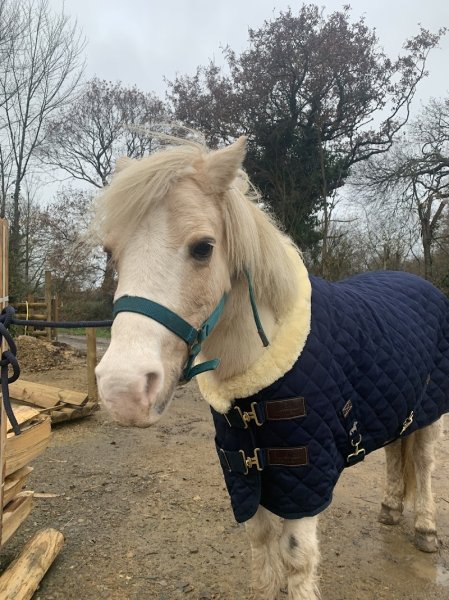 Écurie du creiou - photo 3