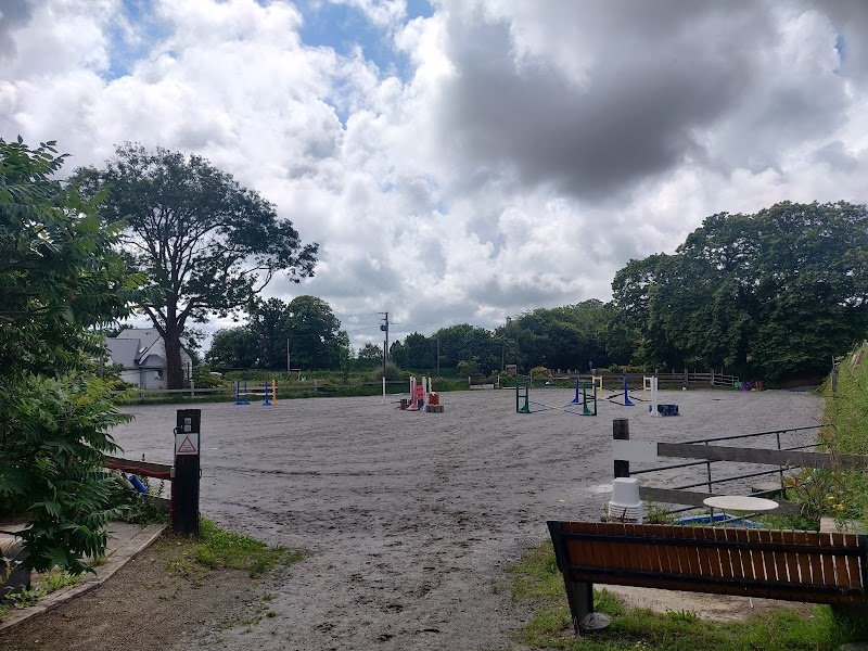 Pension Equestre Le Lay-Salvi - photo 2