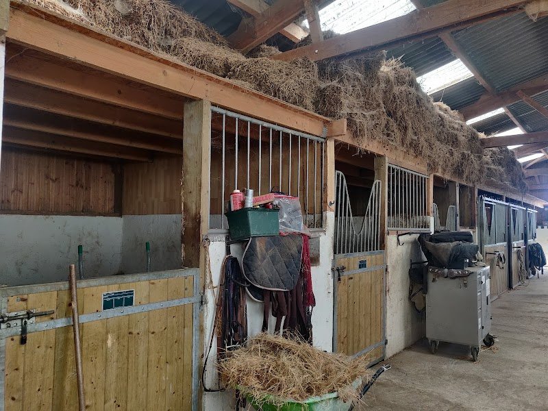 Pension Equestre Le Lay-Salvi - photo 3