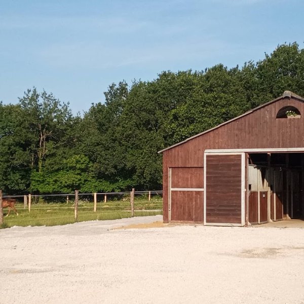 Écurie de Bovel - photo 3