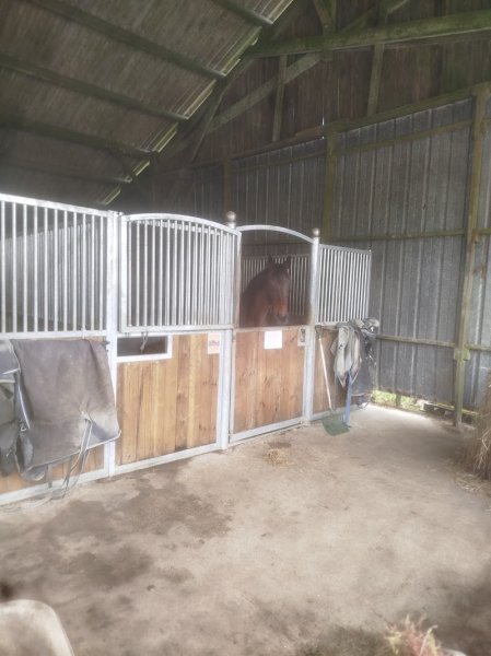 Les écuries du fremur - photo 3