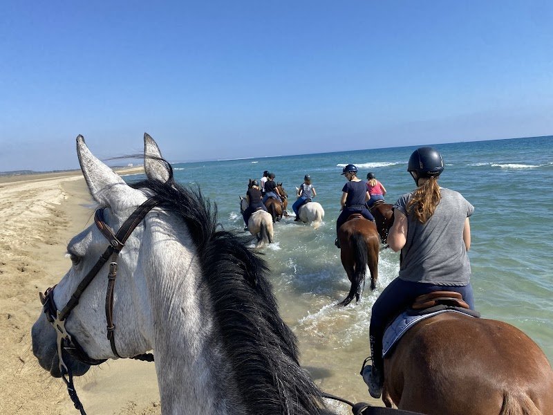 Écurie Larivière - photo 2