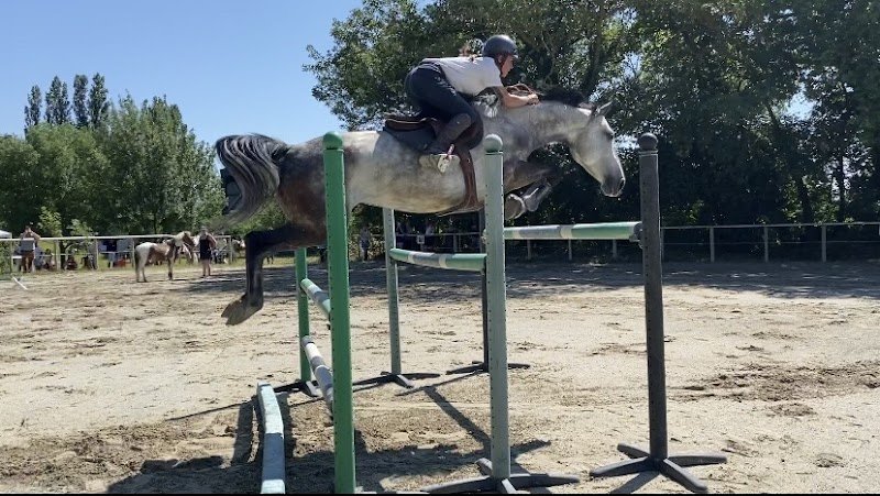 Écurie Larivière - photo 3