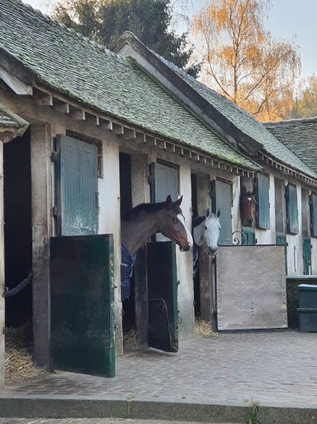 Haras de Vauptain