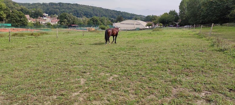 Club Hippique du Haut Buc - photo 3