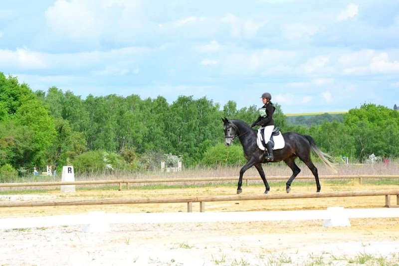 Les Ecuries de la Croix - photo 3