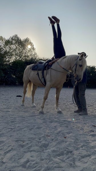 Écurie de la Ville Glé - photo 1