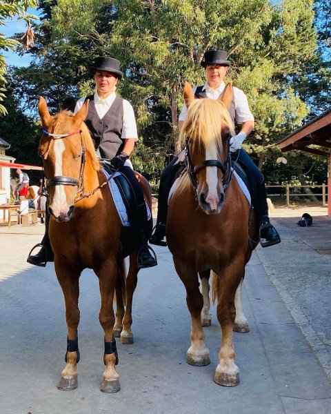 Écurie de la Ville Glé - photo 2