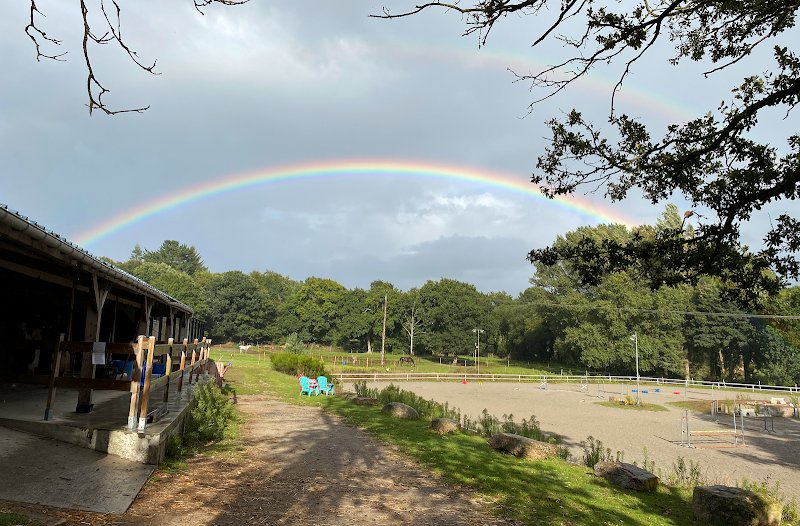 Les Écuries du Petit Bois - photo 1