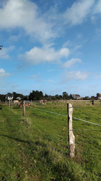 LES ECURIES DE KEREGAL - photo 3