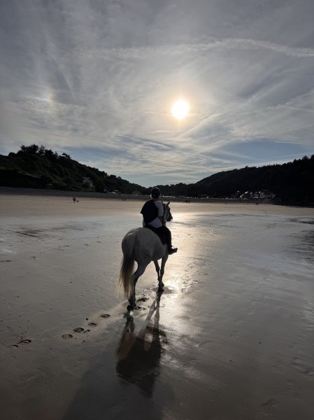 L’écurie de Flo - photo 2