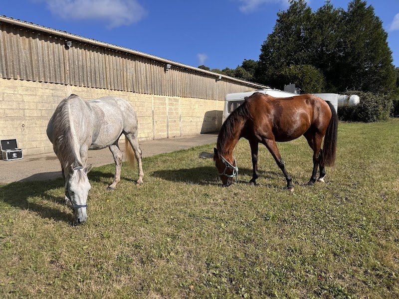 L’écurie de Flo - photo 3