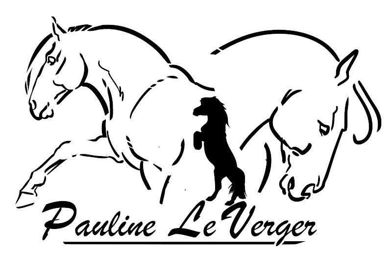 Pauline Le Verger - Travail du cheval - photo 2