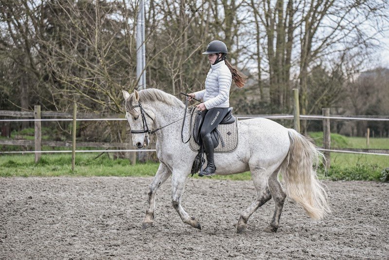Pauline Le Verger - Travail du cheval - photo 3