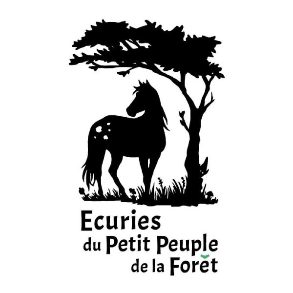Écuries du Petit Peuple de la Forêt - photo 3