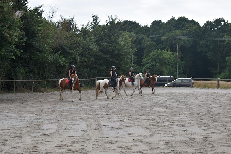 Ecuries de l'Hevoudek - photo 1