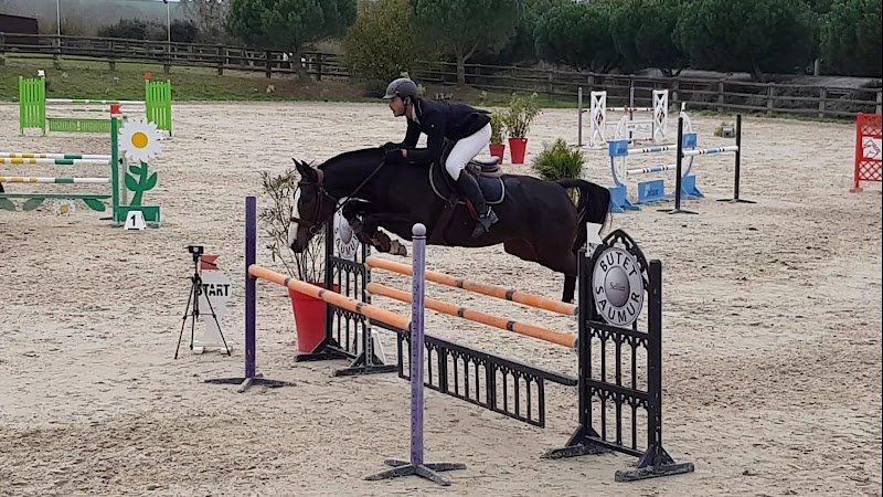 Ecuries de l'Hevoudek - photo 2