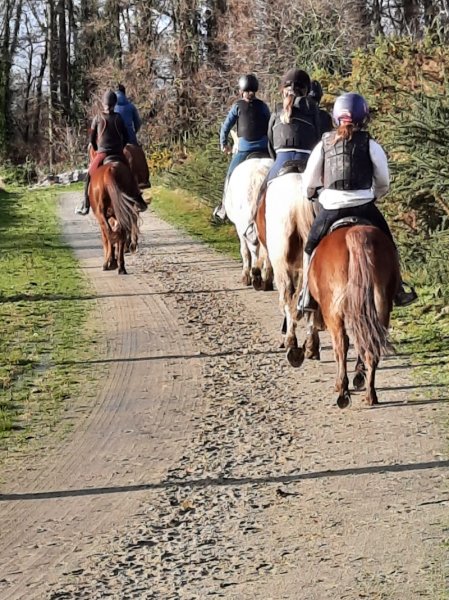 Ecuries de l'Hevoudek - photo 3