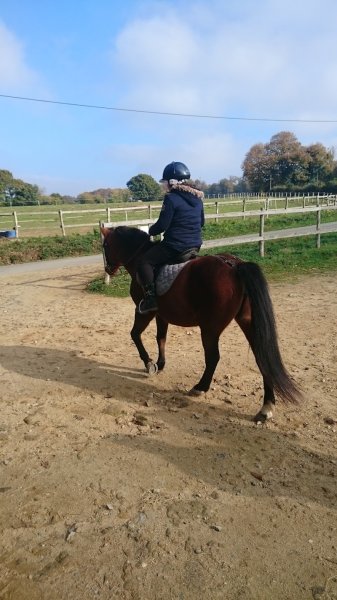 Ecuries d'Orzel (EARL)