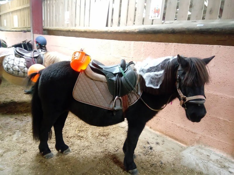 Écurie de la Cassoire - photo 3