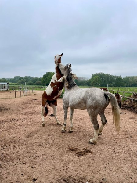 Ecurie MP Concept - photo 2