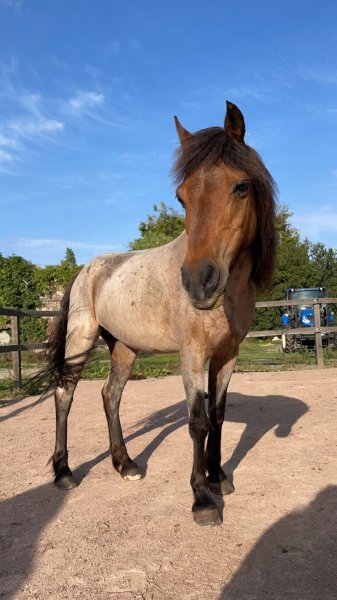 Ecurie MP Concept - photo 3