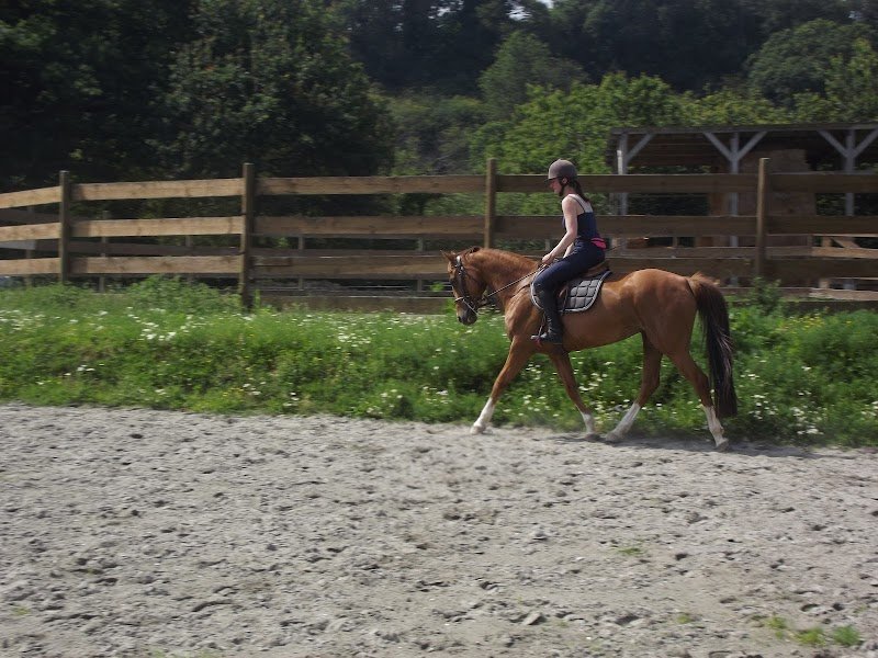 Ecurie Premier Pas d'Longe - photo 3