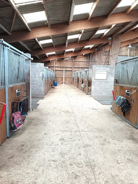 Ecurie du Guinefort - Dinan - photo 2