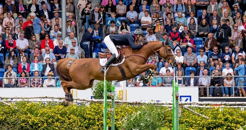 Ecurie Briand Chevalier