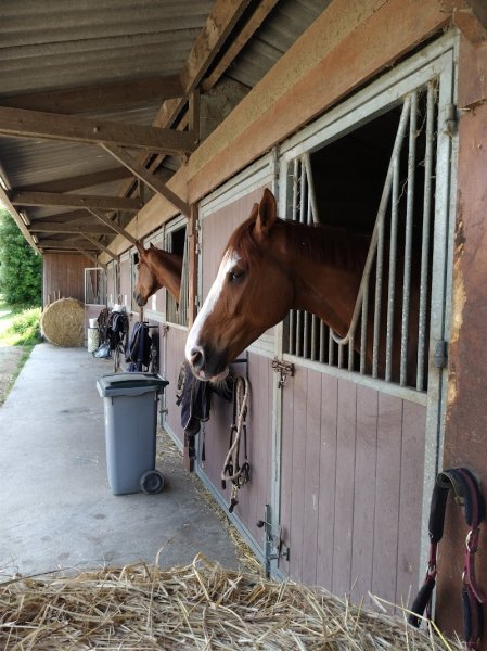 Ecurie Briand Chevalier - photo 3