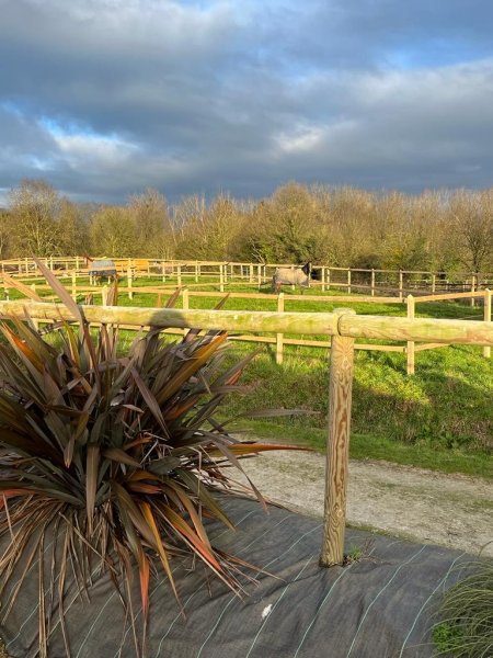 Écurie de Bélêtre - photo 3