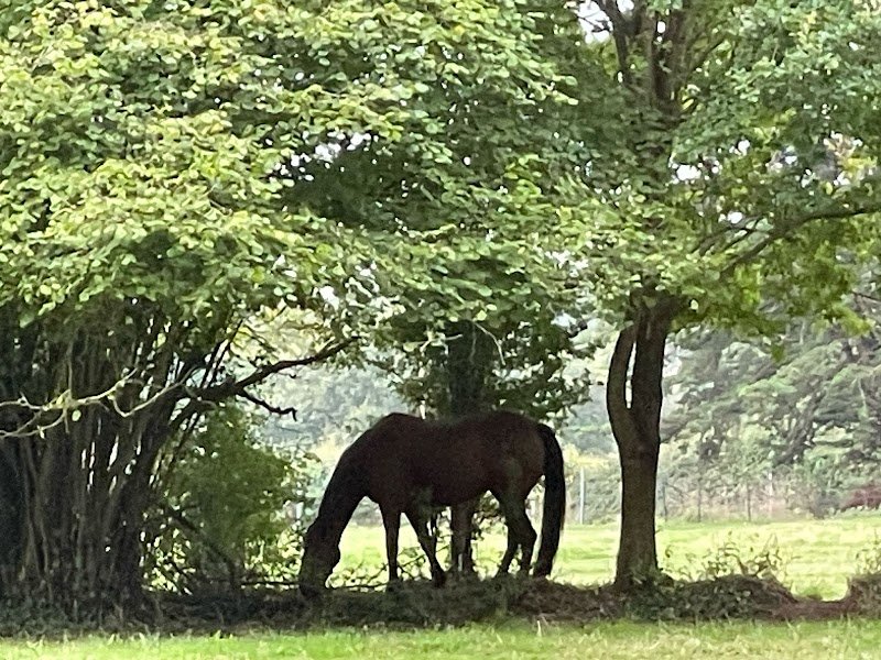 Pension de la Rogerais