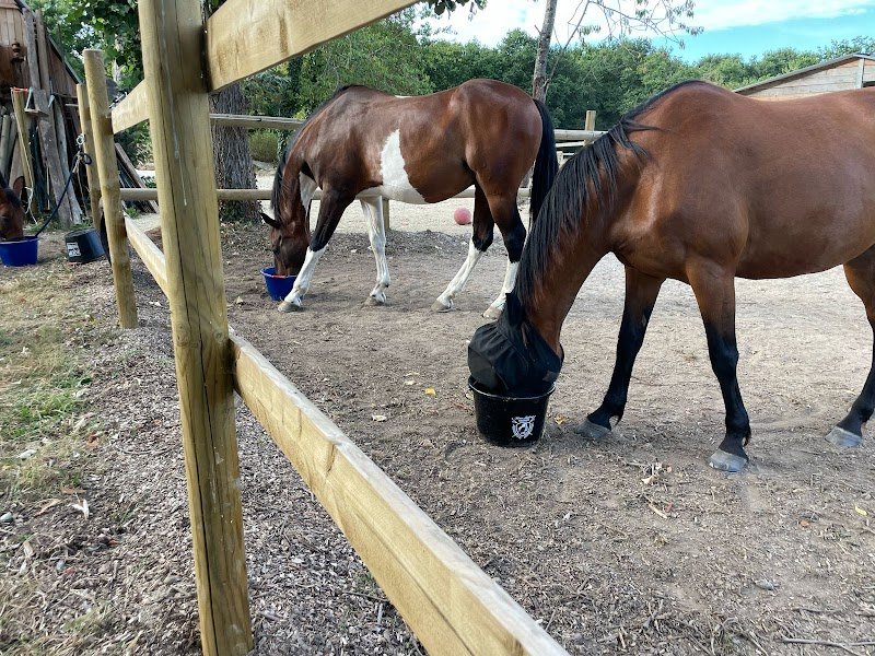 Pension de la Rogerais - photo 3