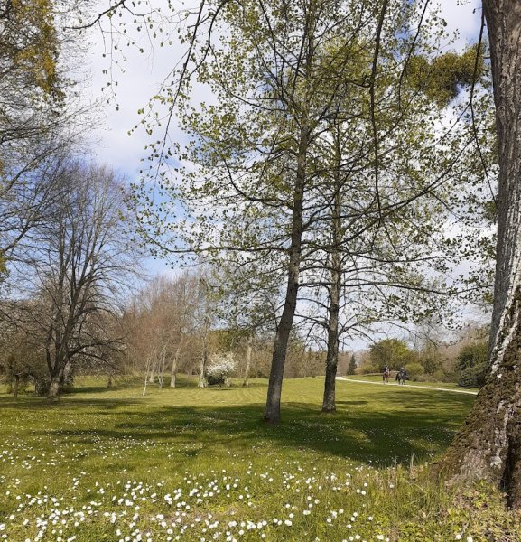 Écurie de Péhou - photo 3