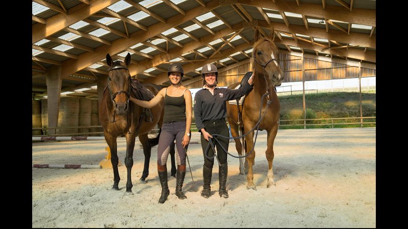 CENTRE ÉQUESTRE ECURIE DE LA VILLE MORIN