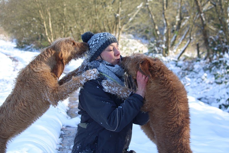 Pension Education Les Echos des Pilards