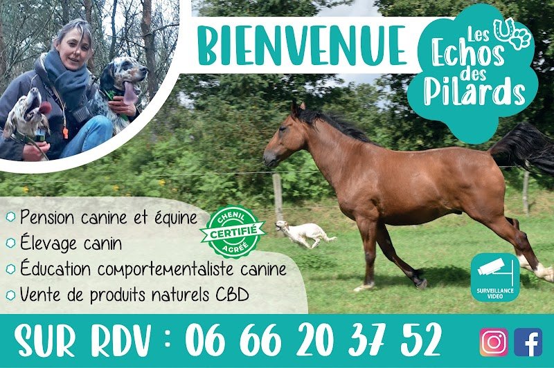 Pension Education Les Echos des Pilards - photo 2