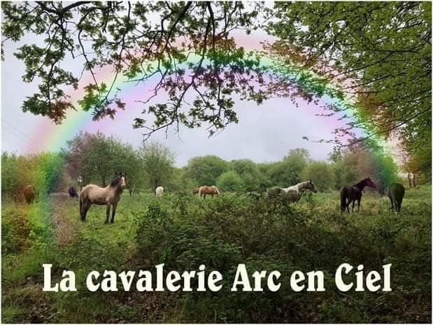 La cavalerie Arc-en-ciel - photo 1