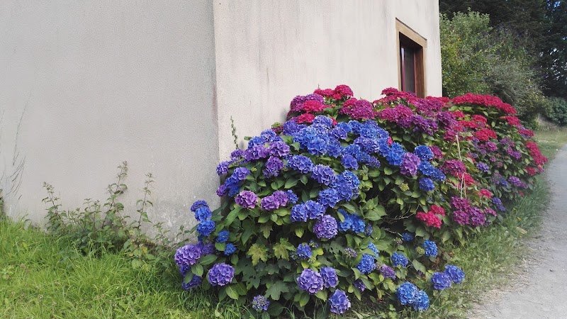 Les écuries de la Magdeleine - photo 2