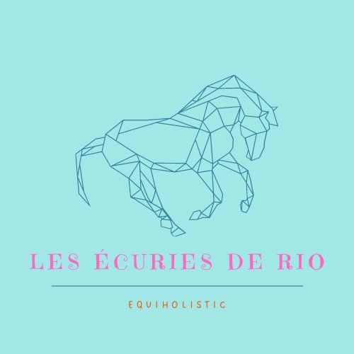 Les écuries de Rio - photo 3