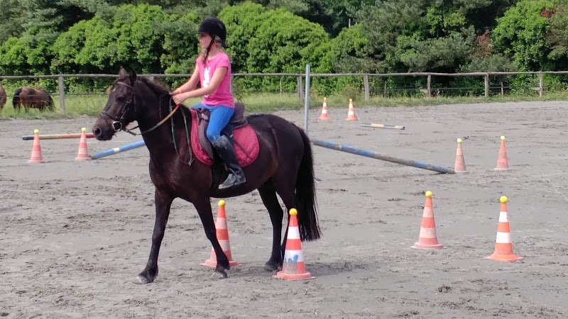Écuries du Chêne Ossat - photo 2