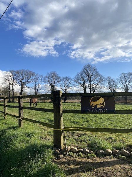 Ecurie De La Belle Chère - photo 1