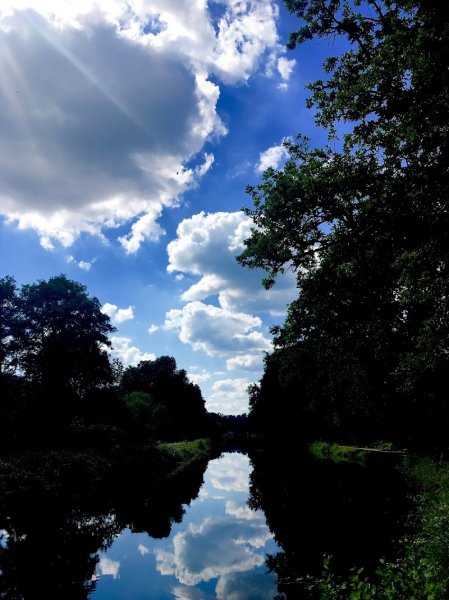 Écurie du Pont Guern - photo 2