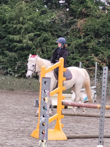 Poney-Club du Goëlo - photo 2