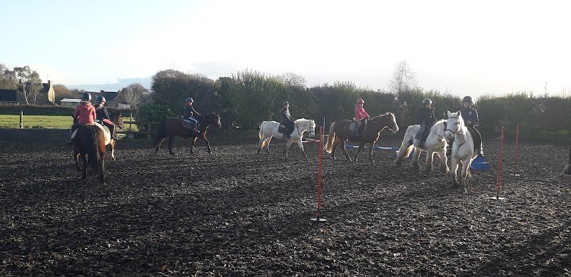 Chevaux du Coat - photo 1