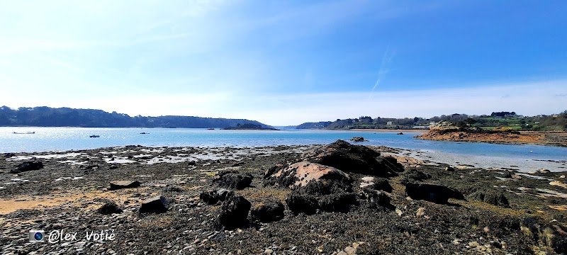 Poney Club de l'Ile à Bois - photo 1