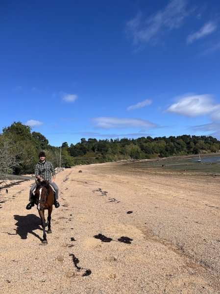 Poney Club de l'Ile à Bois - photo 2